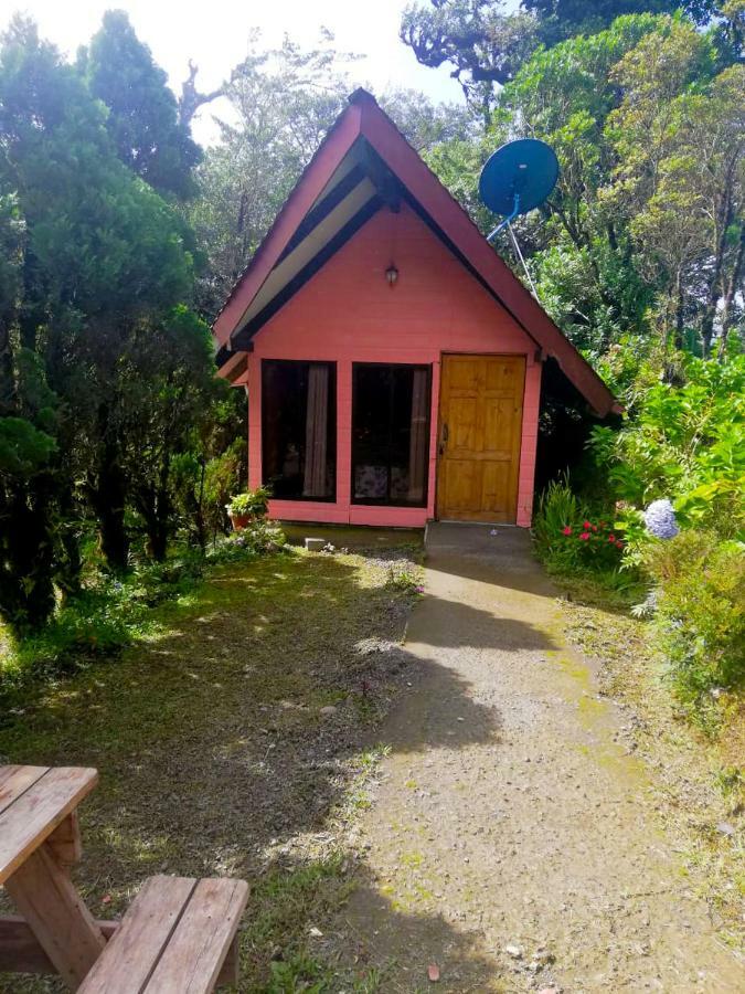 Cabanas Las Orquideas Zapotal  Szoba fotó