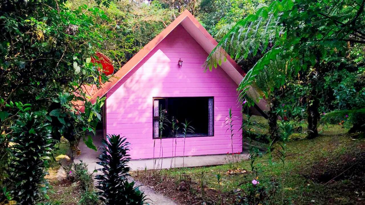 Cabanas Las Orquideas Zapotal  Szoba fotó