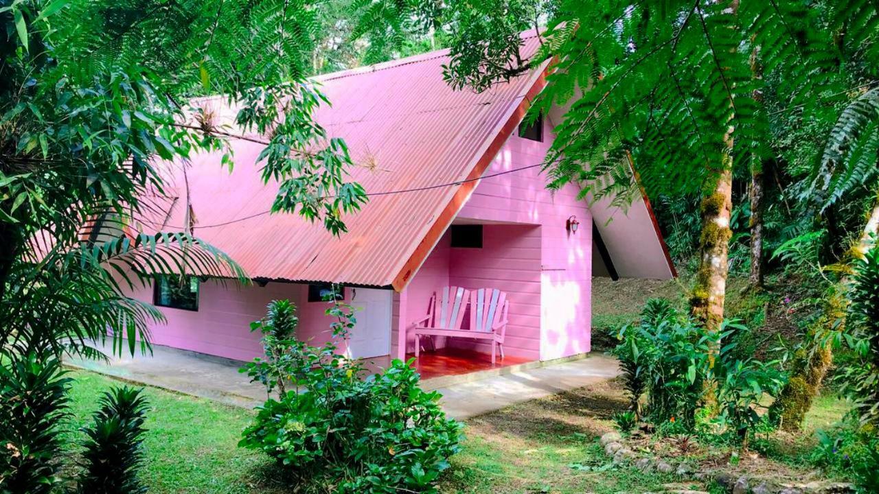 Cabanas Las Orquideas Zapotal  Szoba fotó