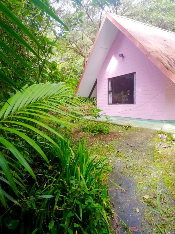 Cabanas Las Orquideas Zapotal  Szoba fotó