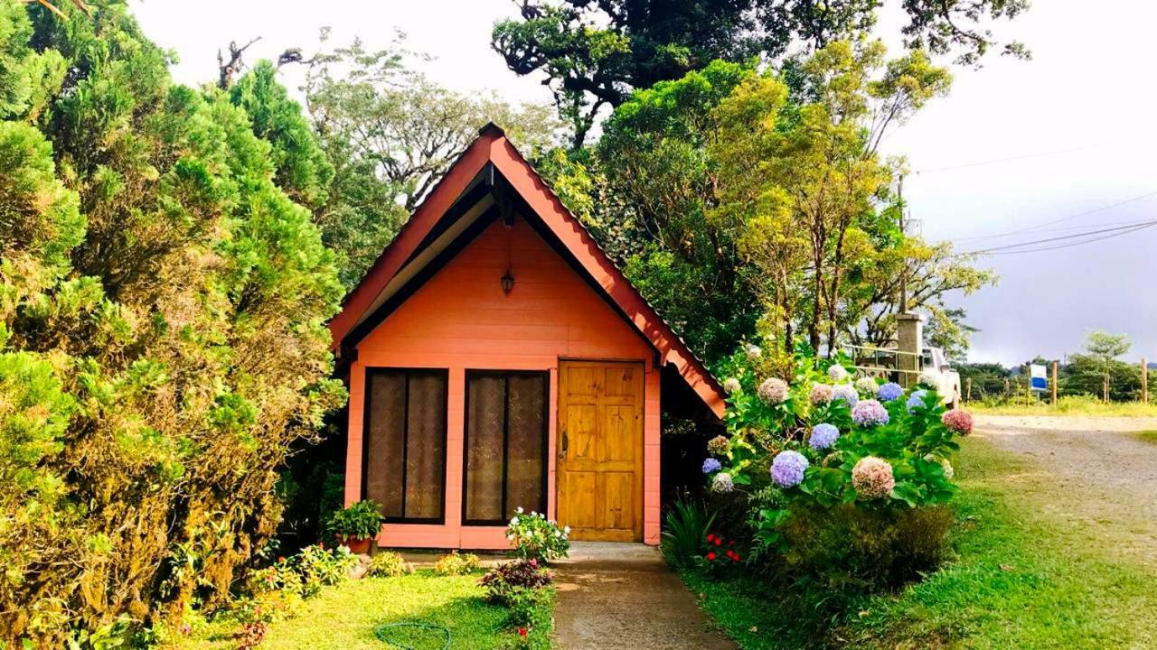 Cabanas Las Orquideas Zapotal  Szoba fotó