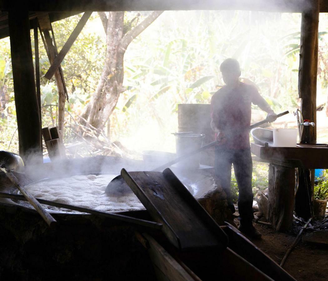 Cabanas Las Orquideas Zapotal  Kültér fotó