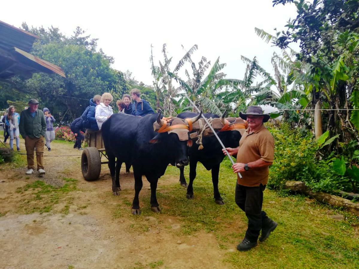 Cabanas Las Orquideas Zapotal  Kültér fotó