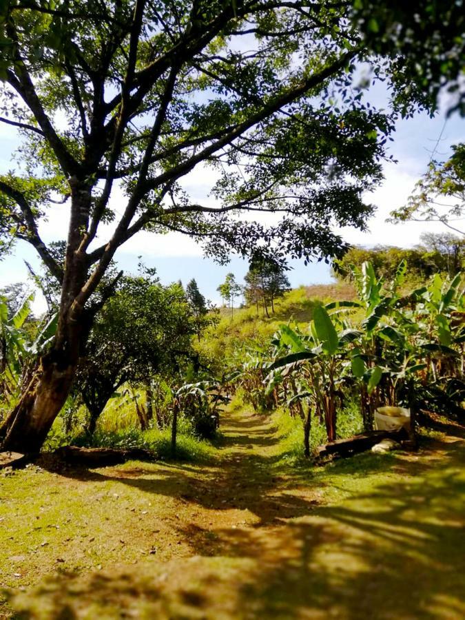 Cabanas Las Orquideas Zapotal  Kültér fotó