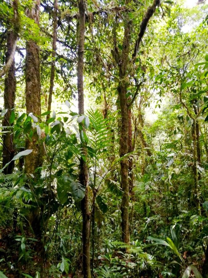 Cabanas Las Orquideas Zapotal  Kültér fotó